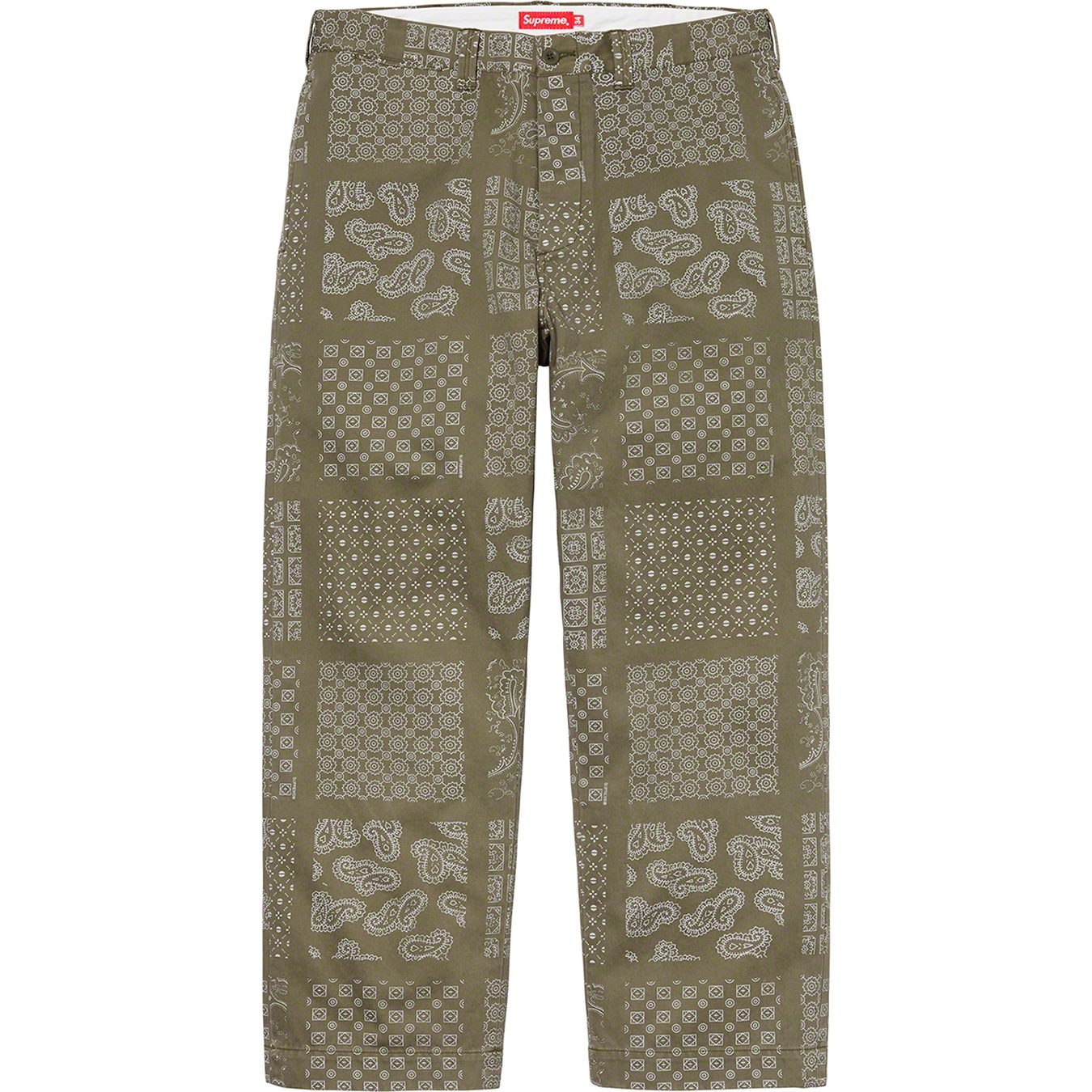 Paisley Grid Chino Pant view 8